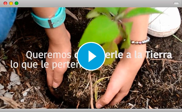 Red de arboles video